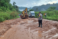 Longsor Tutupi Jalan Lintas Kerinci- Bangko, Polda Jambi Imbau Masyarakat Waspada Longsor Susulan