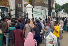 Kejati Jambi Sembelih 14 Ekor Sapi Kurban, Wujud Kepedulian Sosial di Idul Adha 1447 H