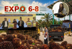 Komitmen Tingkatkan Kesejahteraan Petani Kelapa Sawit, Pemkab Dharmasraya Raih SIEXPO Award 2026