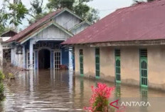 Pemkot Bengkulu Dirikan Tenda Pengungsian Bagi Warga Terdampak Banjir