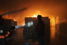 Gudang Sembako PT Dunia Aneka Usaha Hangus Dilahap Sijago Merah