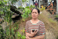Kebakaran di Solok Sipin, Penghuni Menyelamatkan diri Tanpa Sempat Selamatkan Harta Benda