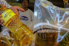 Bulog Jambi Pastikan MinyaKita Aman Hingga Lebaran, Total Stok Mencapai 832 Ribu Liter