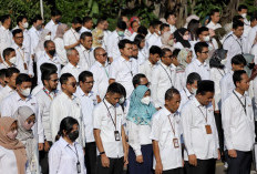 Ada Wacana Guru PPPK Jadi PNS, Pemprov Jambi Berpotensi Hemat APBD Rp179 Miliar per Tahun
