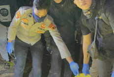 Geger! Kerangka Manusia Ditemukan di Pesisir Pantai Desa Sungai Sayang, Identitas Masih Diselidiki