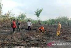 Karhutla di Sumsel Capai 182,54 Hektare Pada Januari-April 2026