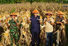 Bupati M. Syukur Instruksikan Pembangunan Industri Hilir Pertanian
