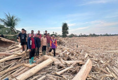 Bencana Banjir di Aceh Utara, Anggota DPD RI: 350 Rumah dari Satu Desa Hilang