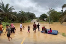 Banjir Di Kecamatan Tengah Ilir Tebo, Ratusan Rumah Warga Dan Akses Jalan Nasional Tebo-Tanjab Barat Terendam