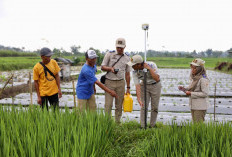 Mau Ikut PTSL? Ketahui Biaya Persiapannya yang Berlaku di Masing-Masing Wilayah