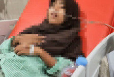 Tiga Siswi Sekolah Rakyat Kota Jambi Dirawat, Dinsos Bantah Isu Keracunan 