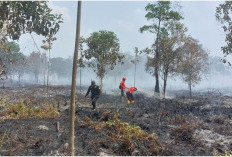Puluhan Desa di Muaro Jambi Masuk Zona Rawan Karhutla, BPBD Perkuat Pemetaan
