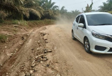 Bupati Merangin H M Syukur Perbaiki Jalan Desa Rasau dan Selango, Warga Sampaikan Terima Kasih