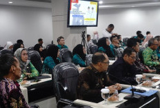 BKN Dampingi Daerah Bangun Manajemen Talenta ASN Guna Wujudkan Birokrasi Profesional