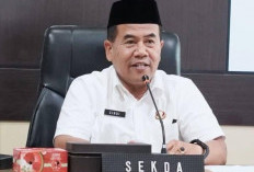 Dampak Efesiensi, Sejumlah OPD di Kabupaten Tebo Dilebur, Dimulai Pada Tanggal Ini