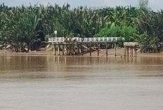 Jembatan Sungai Landak Ambruk, Dua Pekerja Diduga Tenggelam