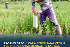 Pasang Patok, Cara Sederhana Cegah Sengketa Tanah dengan Tetangga