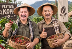 Festival Kopi Kerinci 2026 Siap Digelar, Ajang Promosi 'Tanah Surga' Menuju Panggung Dunia
