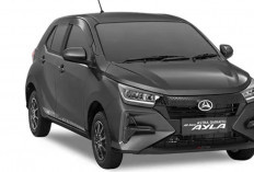 Daihatsu Ayla Jadi Pilihan Utama Mobil Pertama untuk Pengemudi Pemula