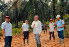 Tekankan Pentingnya Infrastruktur dan Pemeliharaan Kebun, Region Head Regional IV Tinjau Kebun Durian Luncuk