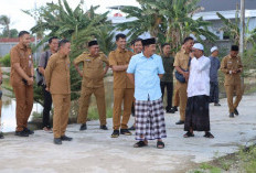 Bupati Anwar Sadat Serahkan Sapi Kurban ke Pondok Pesantren Al Baqiyatush Shalihat