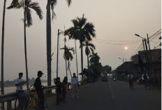 Kabut Asap Makin Pekat Selimuti Kota Jambi, Udara Masuk Kategori Sangat Tidak Sehat