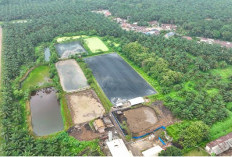 Dua PLTBg Ini Jadi Andalan PalmCo Tekan Biaya Energi di Tengah Gejolak Global