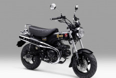 Tampil Makin Ikonik, Honda ST125 Dax Punya Warna Candy Energy Orange dan Pearl Shining Black