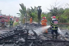 Diduga Dibakar ODGJ, Tempat Penampungan Barang Bekas di Payoselincah Ludes Terbakar