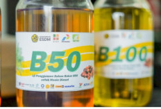 Program Mandatori B50 Resmi Berjalan, Kunci Utama Kemandirian Energi dan Hilirisasi Sawit