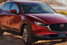 Tampil Wibawa dan Bertenaga, Mazda CX-60 Menggebrak Pasar SUV Lanjutan