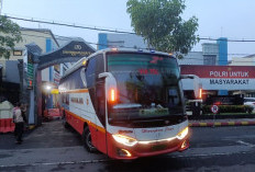 OTT Bupati Tulungagung, KPK Bawa 12 Pejabat ke Surabaya Ada Kadis PUPR dan Anggota DPRD, Ini Nama-Namanya