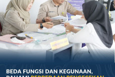 Beda Fungsi dan Kegunaan, Pahami Perbedaan Pengecekan Sertipikat dan SKPT