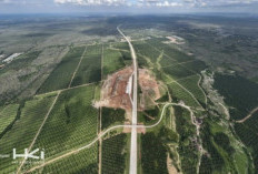 Dikebut! Progres Tol Palembang-Betung Sudah 81,99 Persen,Target Segera Tembus Jambi