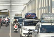 Per Jam, Kendaraan Melintas di Jalan Lintas Timur Sumatra Jambi-Riau 500-700 Kendaraan‎