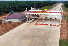 Progres Jalan Tol Betung-Jambi 170 Km Terus Dikebut, Berikut Update Terbarunya 