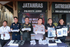 Polresta Jambi Gagalkan Penyelundupan 47.872 Benih Lobster Senilai Rp7,1 Miliar Tujuan Riau