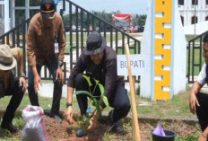 Libatkan Generasi Muda, Merangin Tanam 4.000 Pohon Serentak bersama Menteri Lingkungan Hidup