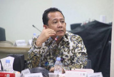 Lahan Terbakar Dilarang Ditanami Selama Dua Tahun, Pemkab Muaro Jambi Perketat Perang Lawan Karhutla