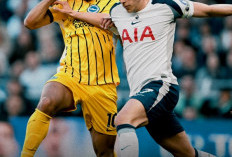 Diimbangi  Brighton & Hove Albion 2-2, Tottenham Hotspur Tetap di Zona Degradasi