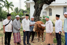 Kementerian ATR/BPN Melalui Kantor Wilayah BPN Provinsi Jambi Menyerahkan Hewan Kurban