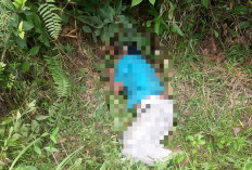 Mayat Misterius Ditemukan di Semak-semak Sengeti, Polisi Selidiki Penyebab Kematian