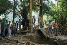 Enam Jembatan Gantung di Sarolangun Rusak Parah, Bupati Hurmin Kejar Dana Pusat