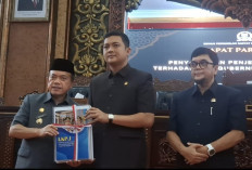Pemprov - DPRD Jambi Kebut Perda Karhutla, Lahan Terbakar Terancam Tak Boleh Ditanami Sawit