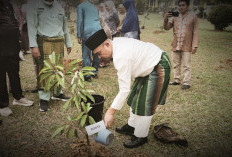 Bupati Dedy Putra Pimpin Penanaman Pohon dalam Rangka HUT Kabupaten Bungo ke-61