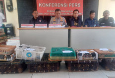 Polres Muaro Jambi Ungkap Perdagangan Satwa Dilindungi, Ratusan Ekor Burung Diamankan