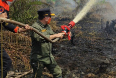 Tak Cuma Pantau, Al Haris Ikut Berjibaku Padamkan Api di Lahan Gambut Air Merah