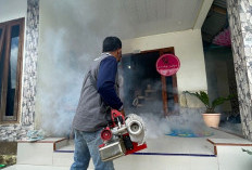 Dinkes Kerinci Ingatkan Warga Waspada DBD, Tercatat Ada 33 Kasus  di Awal 2026