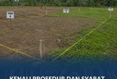 Kenali Prosedur dan Syarat Pemisahan Bidang Tanah