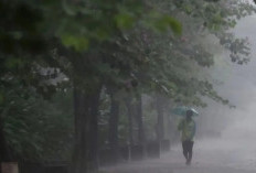 BMKG Prakirakan Sebagian Besar Indonesia Hujan Ringan